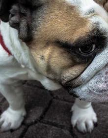 喜剧电影 51漫画